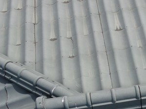 DJI_04992.jpg